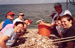 Marine ecology DISL  2005