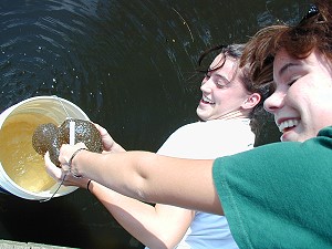 Amanda Richards and Joy Coppock collecting bryozoa from the pond (2006)