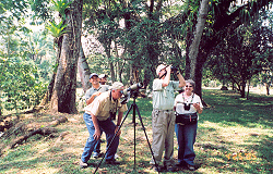 Wilsons spotting the Great Potoo