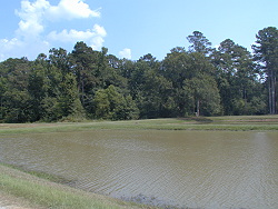 Hatchery pond and western edge of Park woods