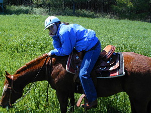 Lauren Stephens rests as her hourse eats clover.