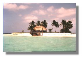 Island near Caye Caulker