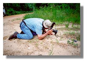 Dr. Jeffrey Glassberg photographing a butterfly in the Oakmulgee National Forest