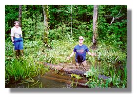 Lori Wilson prepares to cross a stream as Walt Kastenmayer wades deeper into the marsh