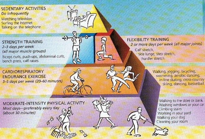 This is a Physical Activity Pyramid.