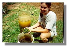 Caroline Wilson showing germinating seeds