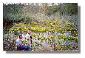 Thomas Wilson and Greg Harber do some birding in the golden club swamp