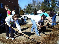 Botany students prepare garden soil