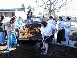 Topsoil is added to garden