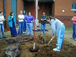 Students plant the coral bark maple