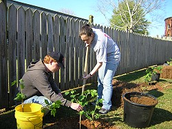 Brian Clements and Calah Odom planting the Confederate Rose