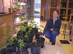 Caroline Price with the light propagated plants