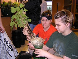 Riki Morrison and Beth Blackwell inspecting plant roots