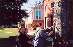 A sugarberry tree is labeled by course students.