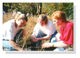 Jennifer Mitchell, Alison Goolsby, and Denise Staska testing Clear Creek for dissolved oxygen.