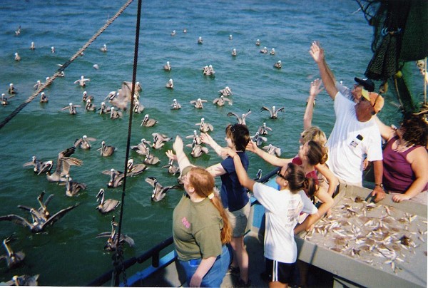 Dauphin Island Sea Lab adventure